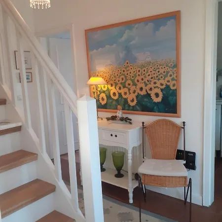 Daire Sylter-lieblingsnest *